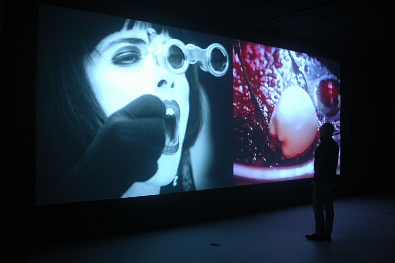 Installationsansicht - GRIMMWELT Kassel
